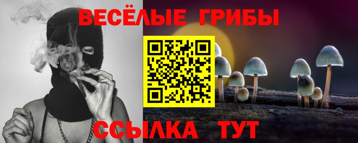 Галлюциногенные грибы прущие грибы Янаул
